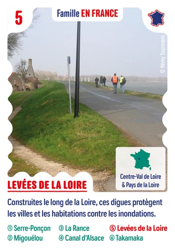 Carte n°5 : Levées de la Loire