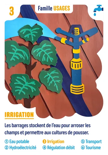 Carte n°3 : Irrigation